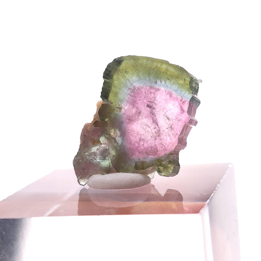 Watermelon Tourmaline Slice