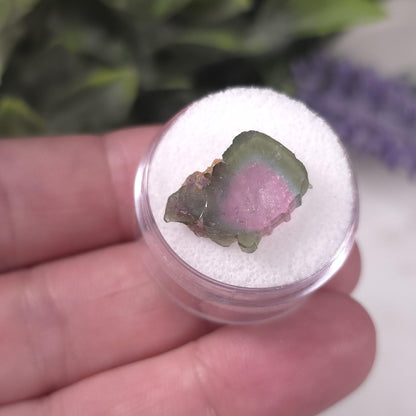 Watermelon Tourmaline Slice