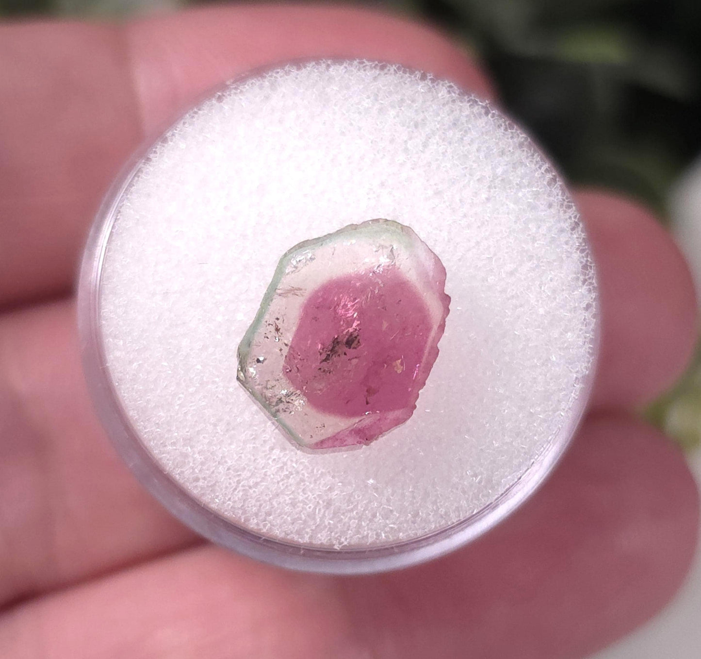 Watermelon Tourmaline Slice