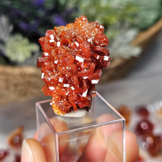 May include: A cluster of orange red vanadinite crystals on a clear glass display stand. The crystals are sharp and have a glossy finish.