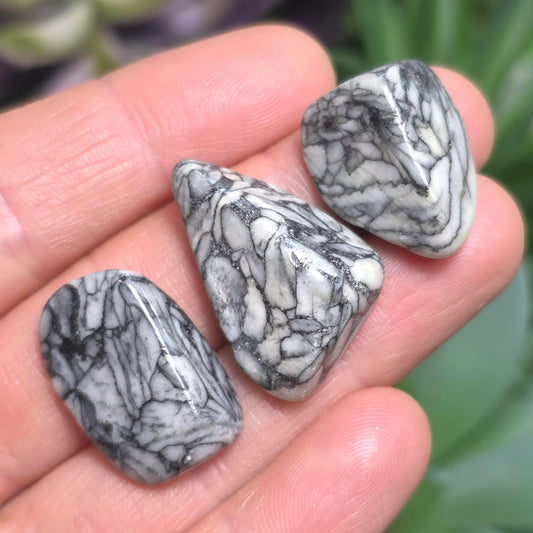 Pinolith Crystal