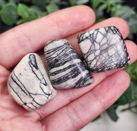 Spider Web Jasper Crystal