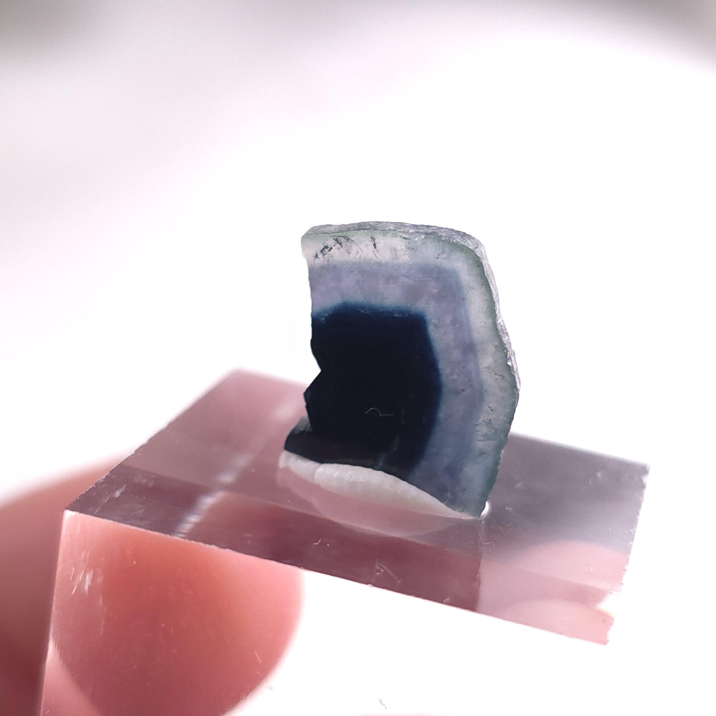 Blue Tourmaline Crystal Slice (5.8 carats)