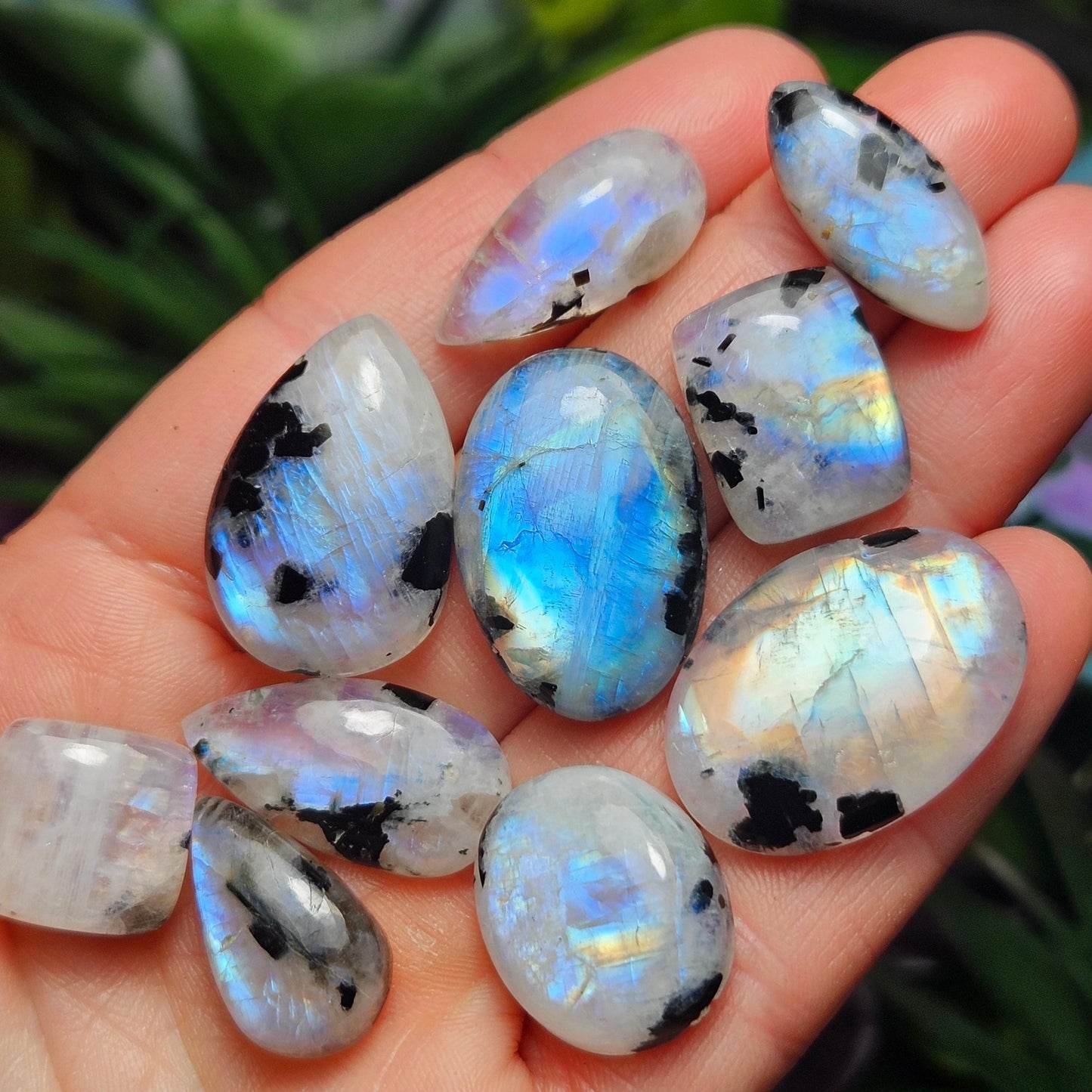 Rainbow Moonstone & Black Tourmaline