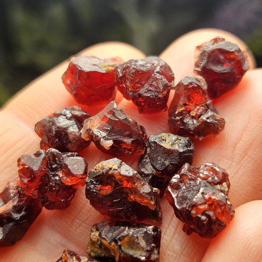 Himalayan Alpine Garnet