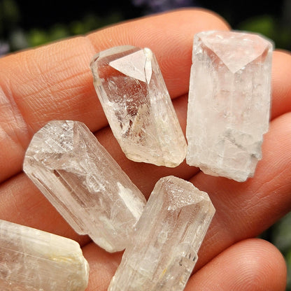 Pink Danburite Crystal