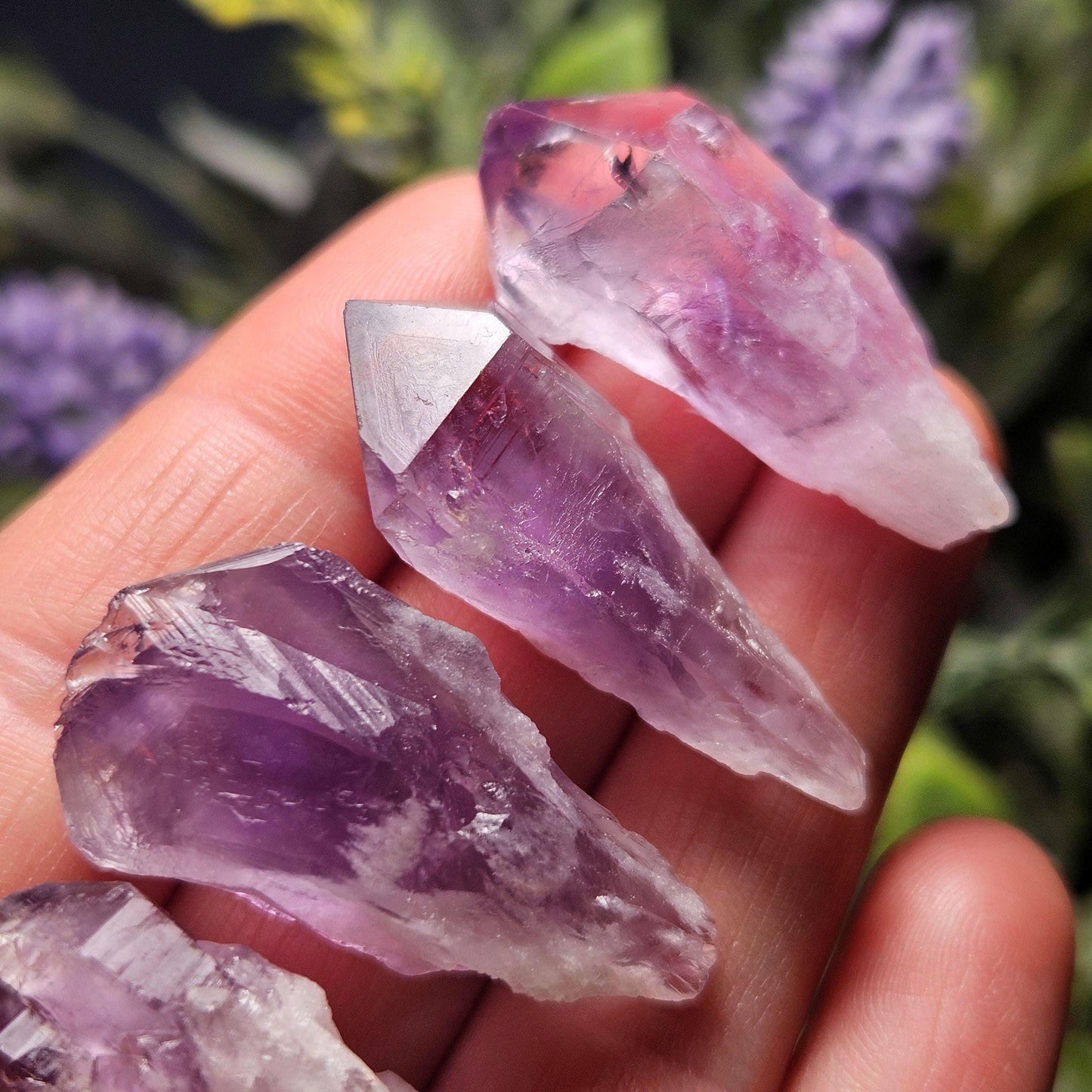 Dragons Tooth Amethyst