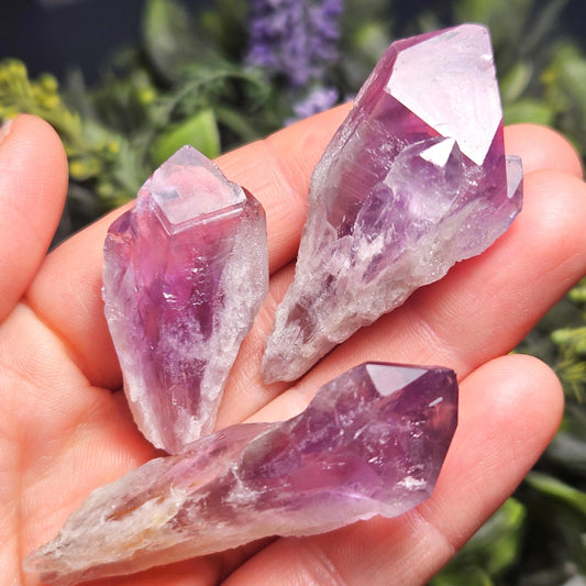 Dragons Tooth Amethyst