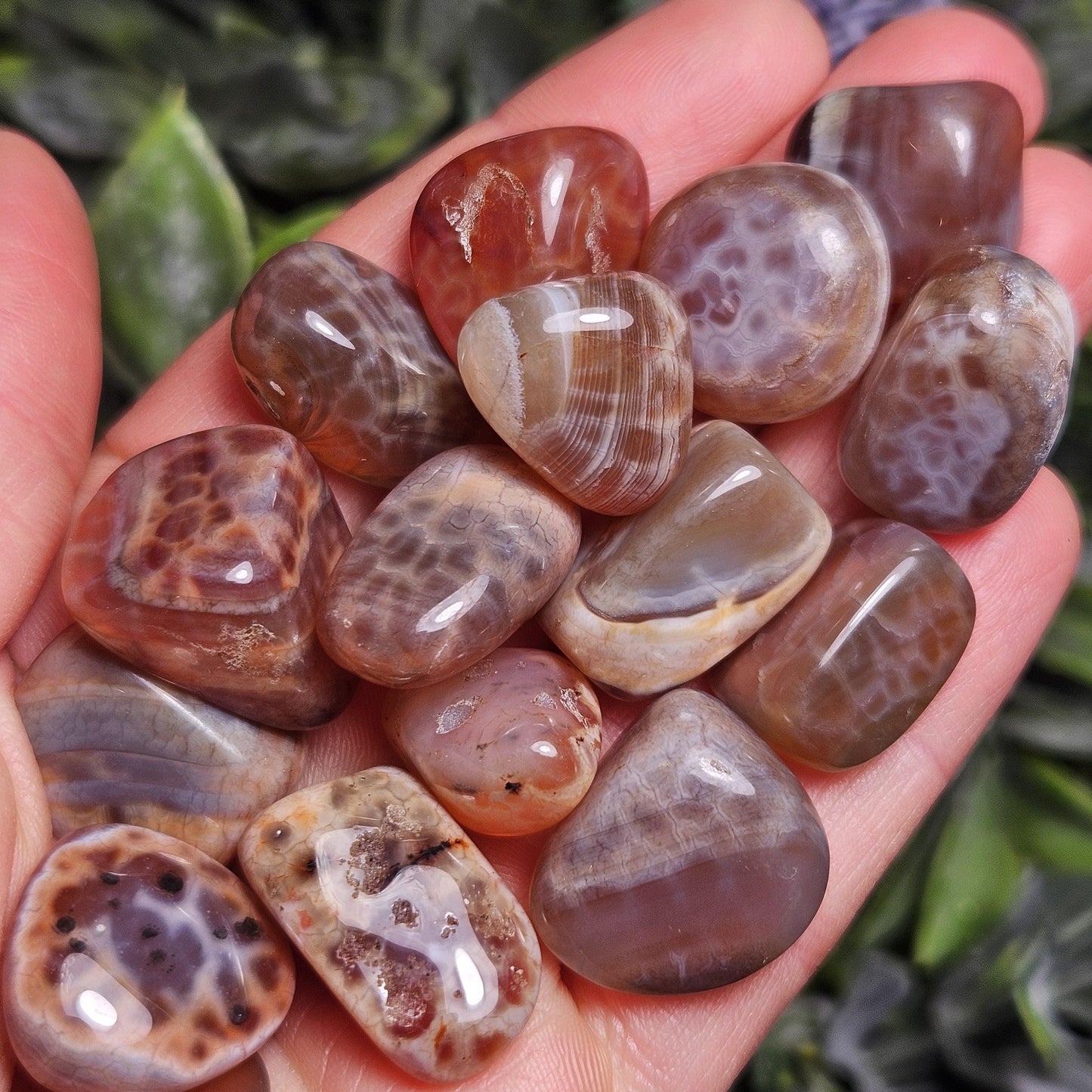 Dragon Scale Agate