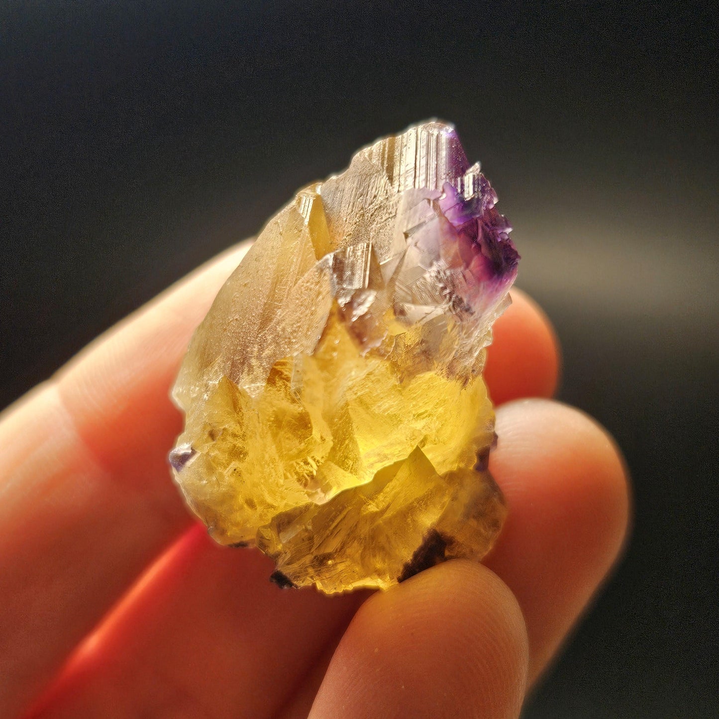 Purple & Yellow Bicolor Fluorite