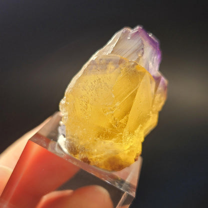 Purple & Yellow Bicolor Fluorite