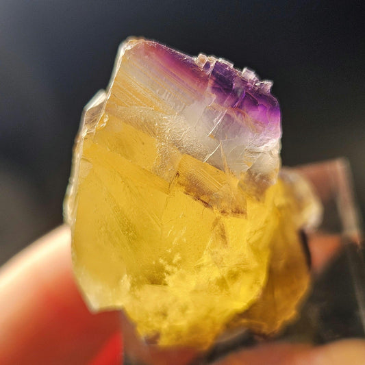 Purple & Yellow Bicolor Fluorite