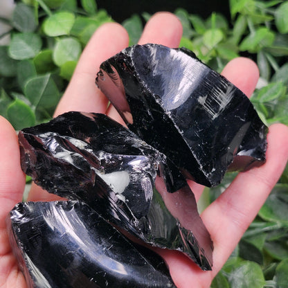 Raw Black Obsidian (2-3")