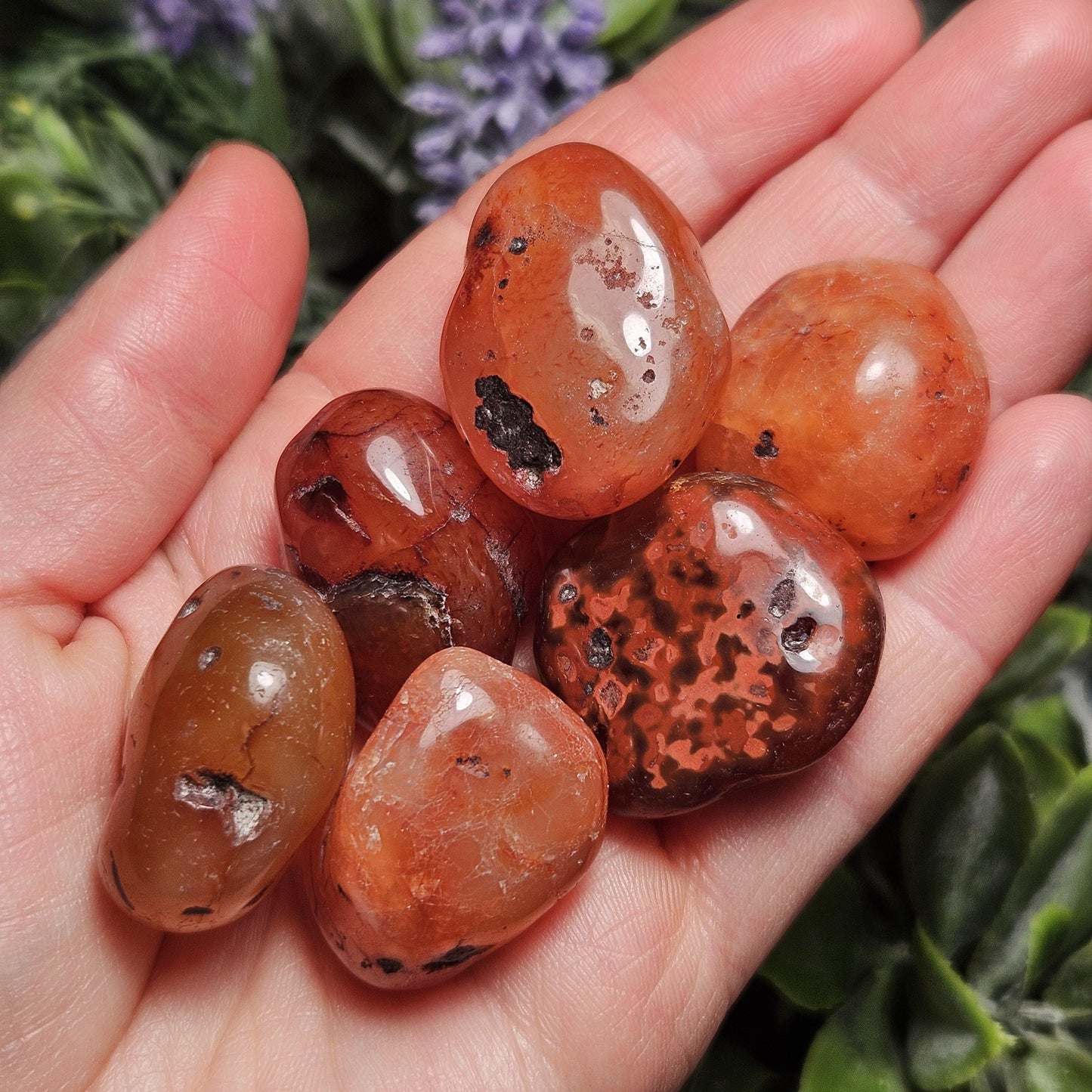 Tumbled Carnelian Crystal