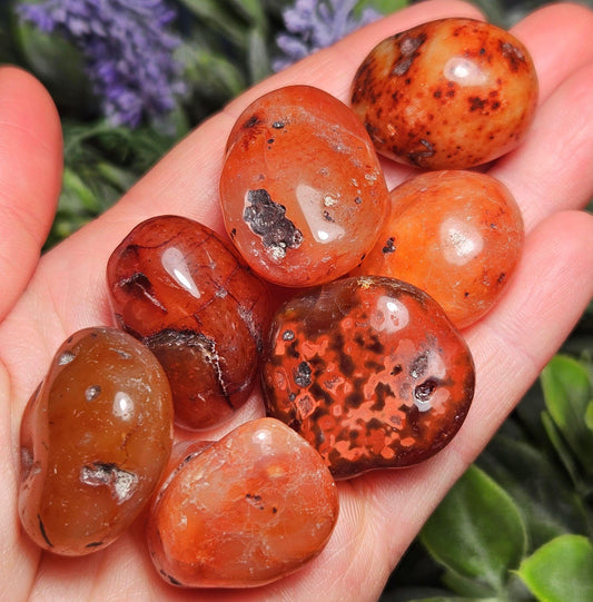 Tumbled Carnelian Crystal