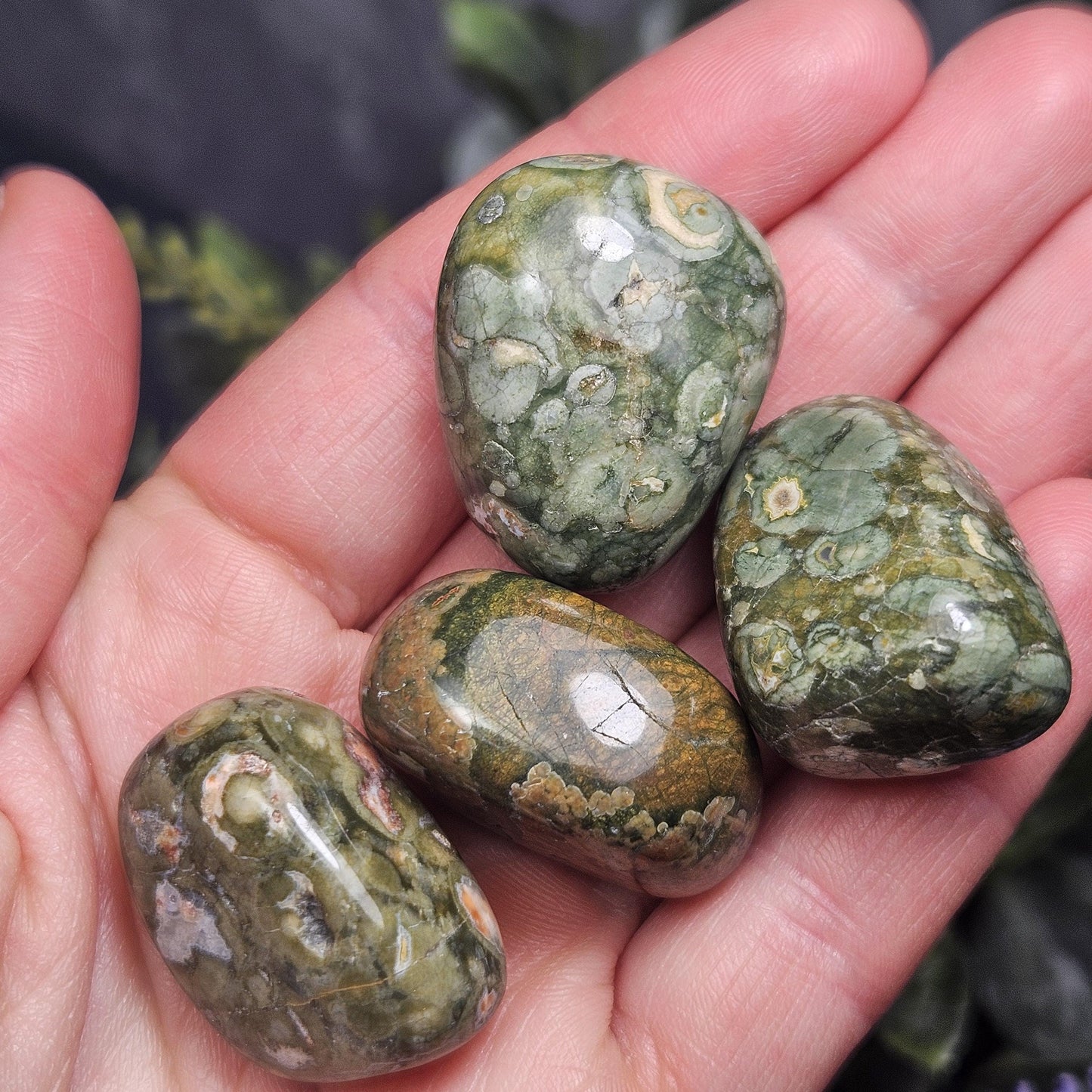 Australian Rainforest Jasper