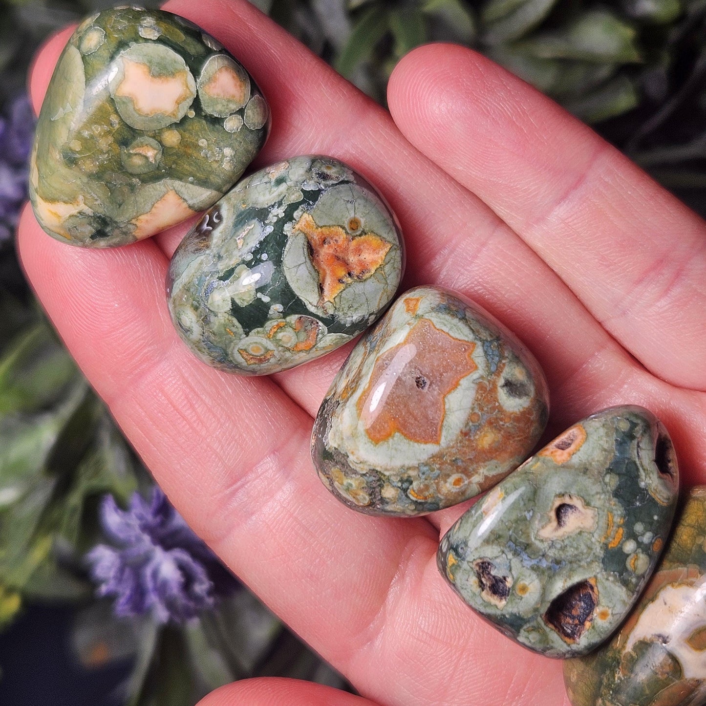 Australian Rainforest Jasper