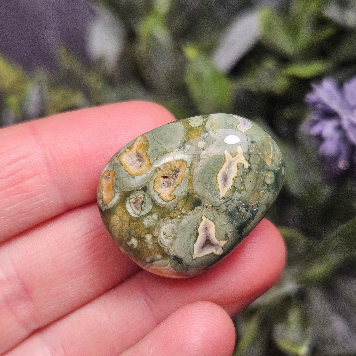 Australian Rainforest Jasper