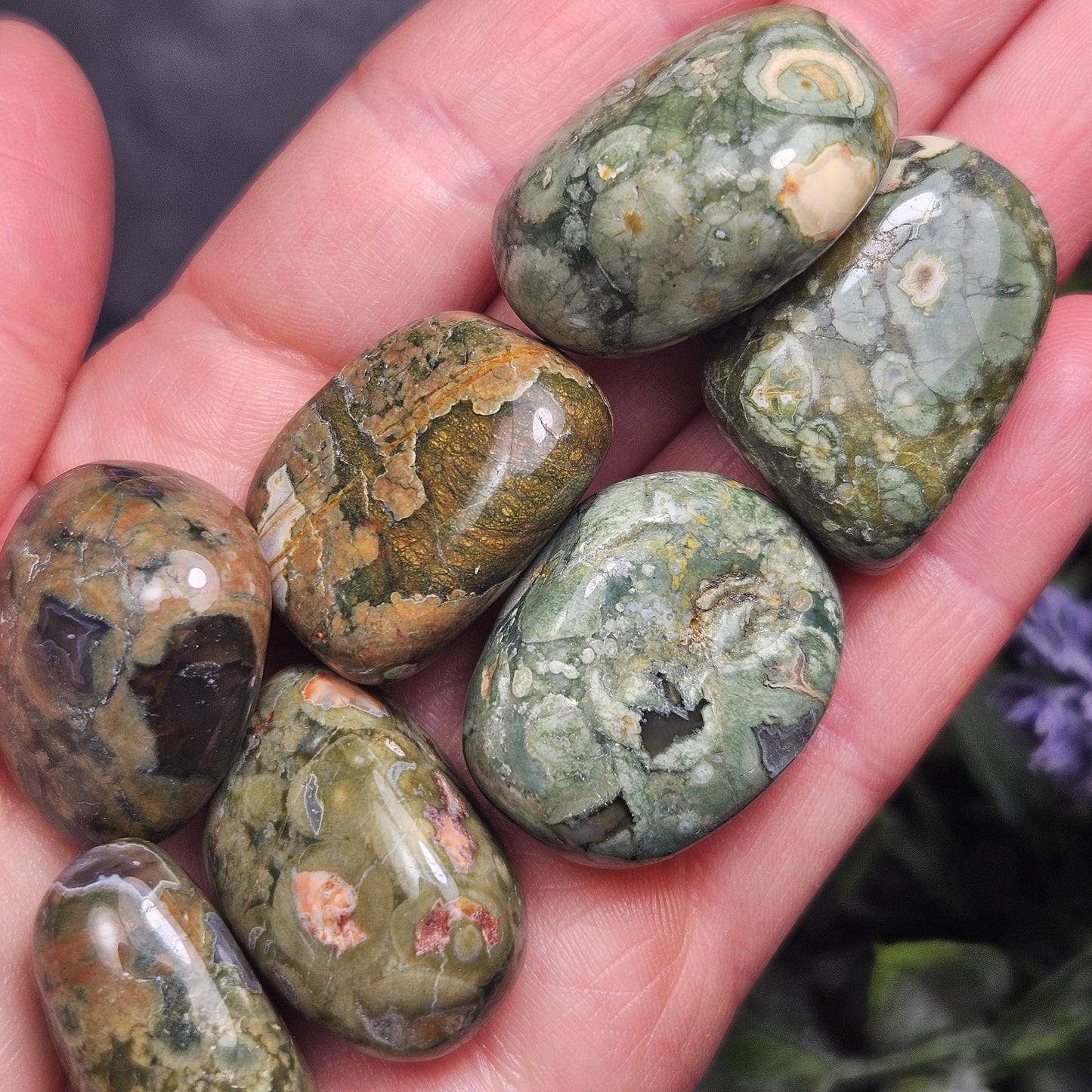 Australian Rainforest Jasper