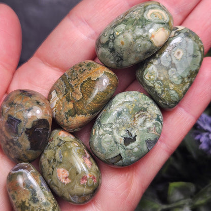 Australian Rainforest Jasper