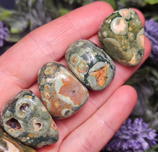 Australian Rainforest Jasper