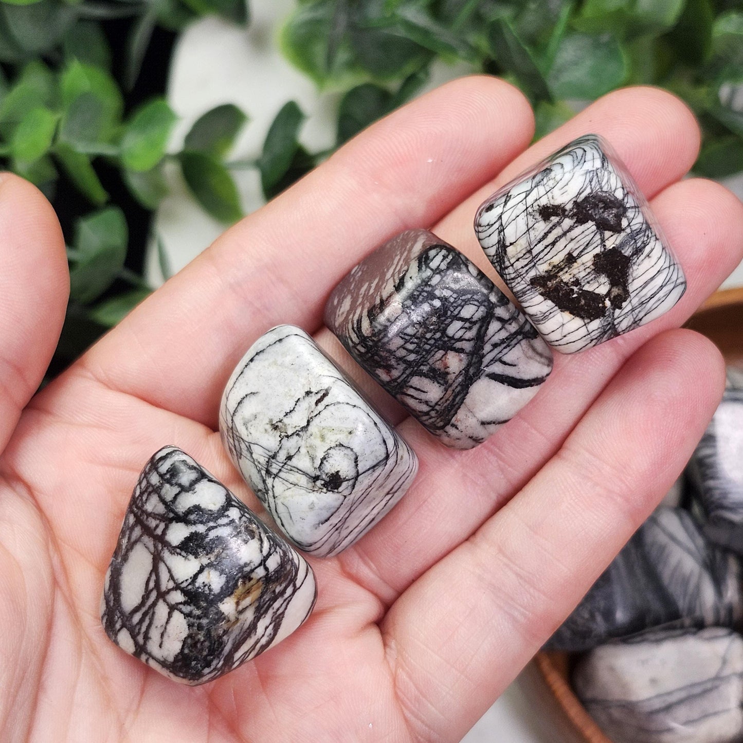 Spider Web Jasper Crystal
