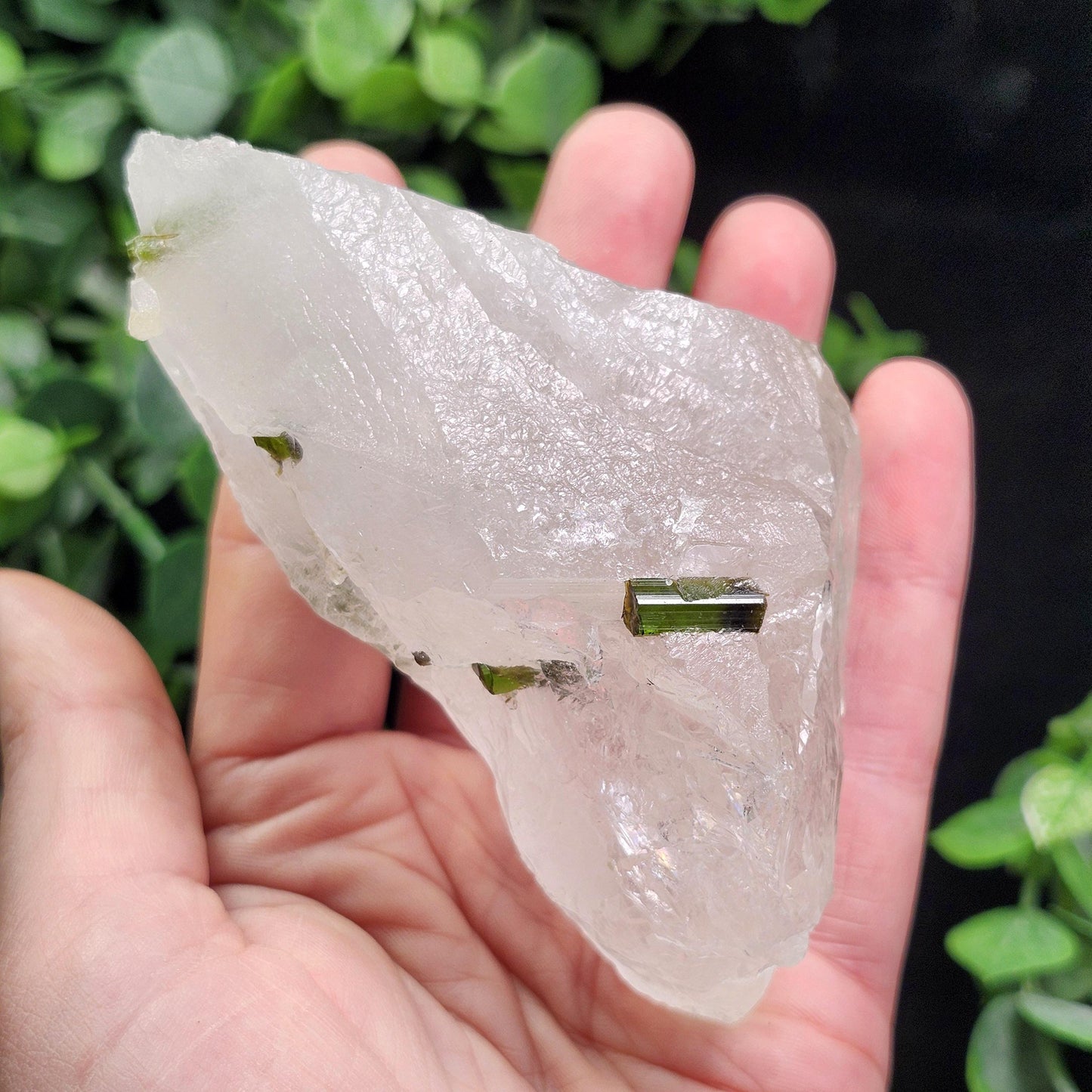 Green Tourmaline in Quartz Crystal