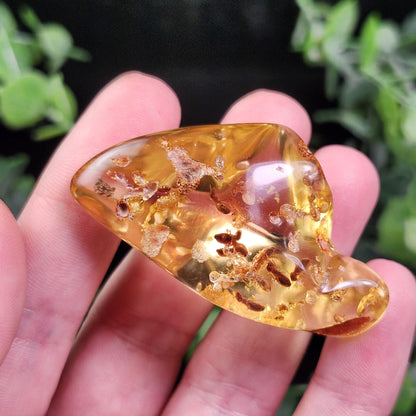Amber with Bugs & Static ENHYDRO