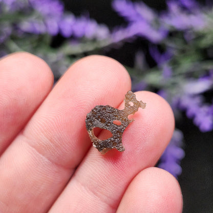 Moldavite with Natural HOLE