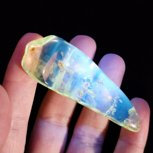 Amber with Bugs & Static ENHYDRO