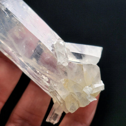 Blue Smoke Lemurian