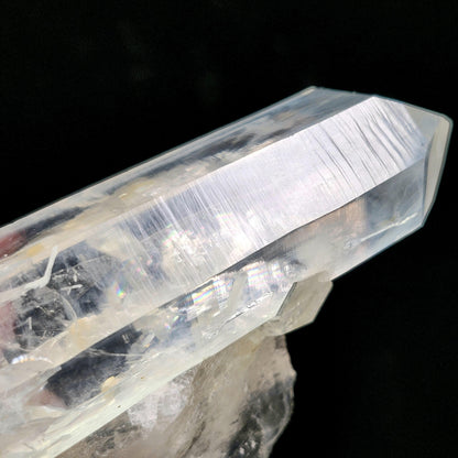 Blue Smoke Lemurian