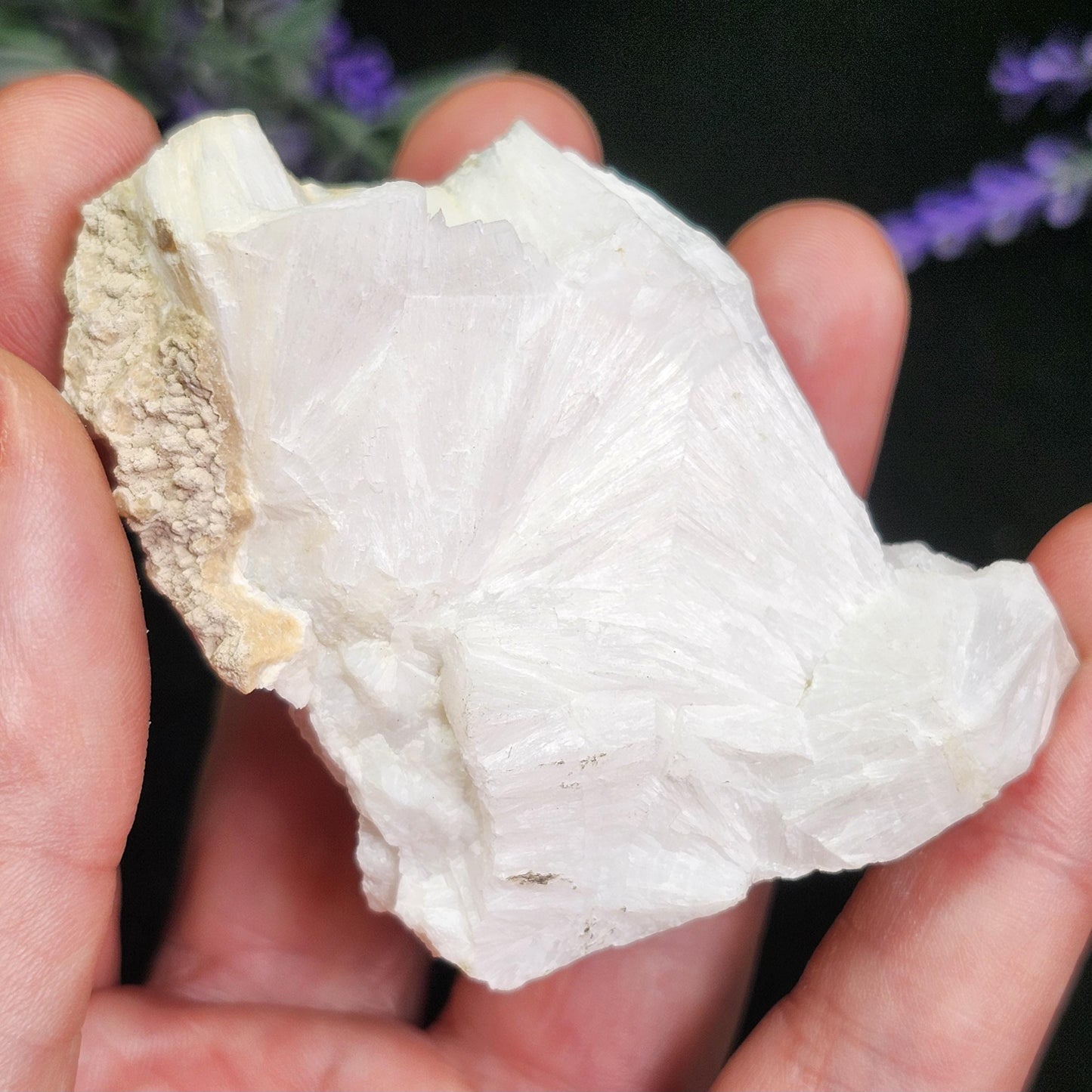 Xonotlite Specimen