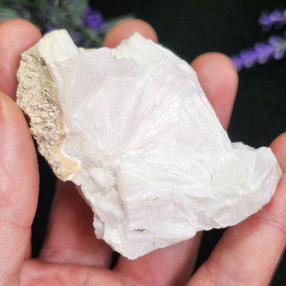 Xonotlite Specimen