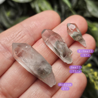 Garden Lemurian Quartz