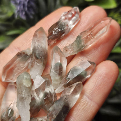 Garden Lemurian Quartz