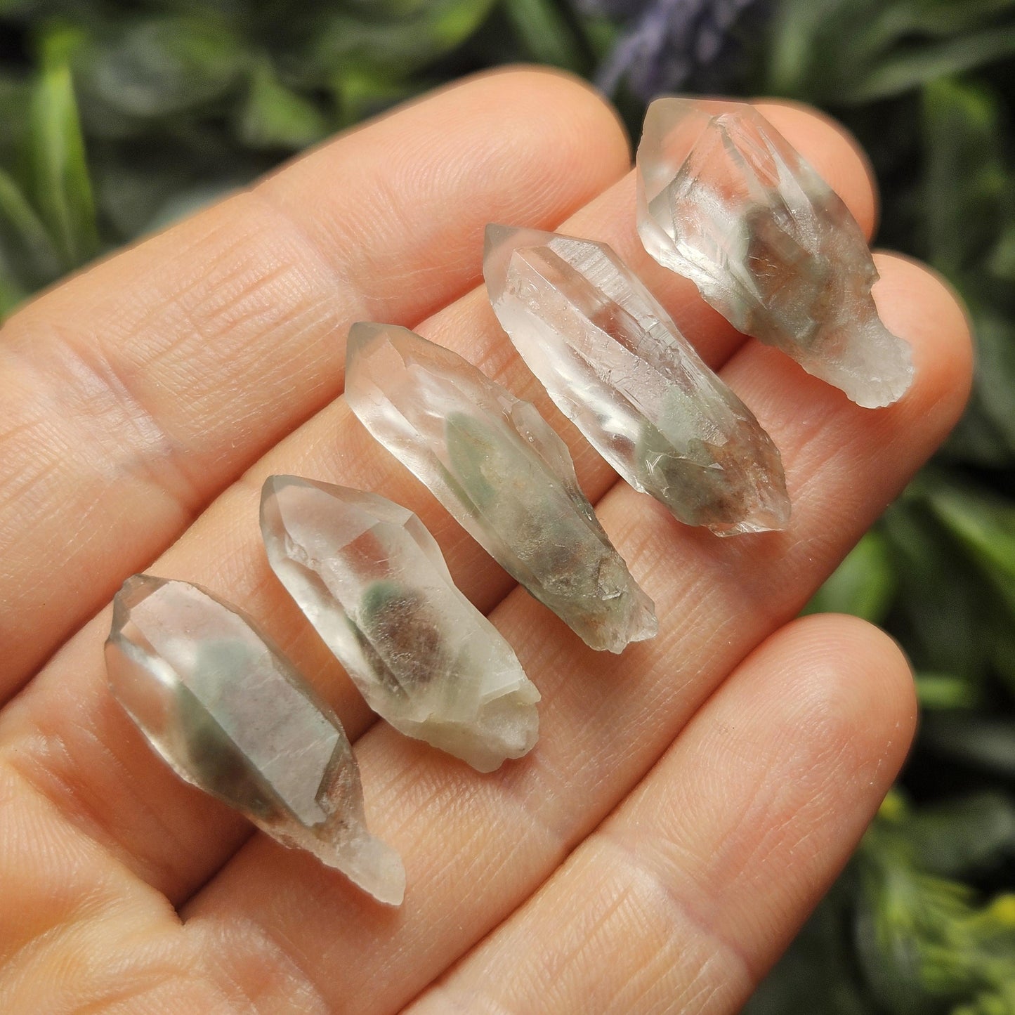 Garden Lemurian Quartz