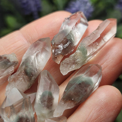 Garden Lemurian Quartz