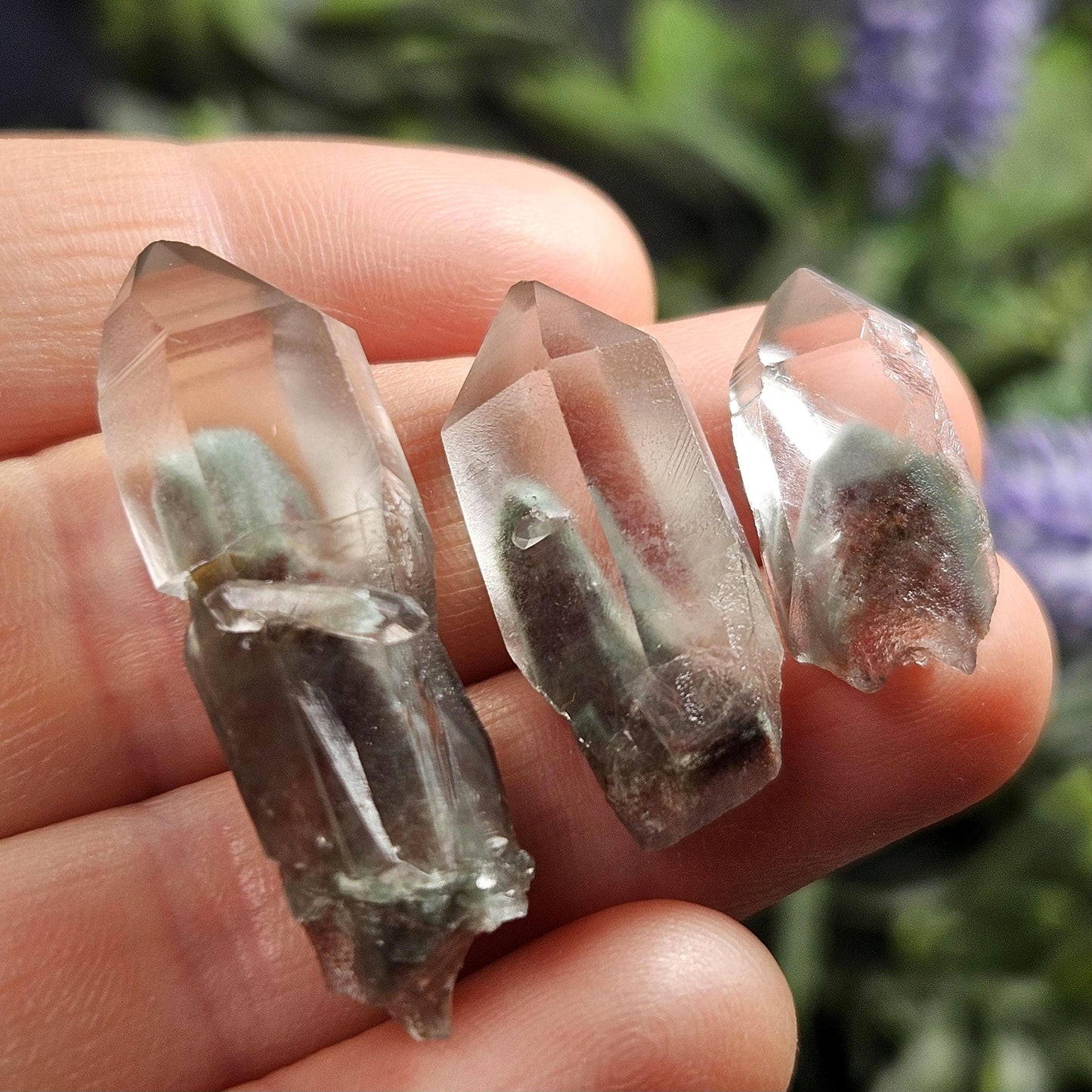 Garden Lemurian Quartz