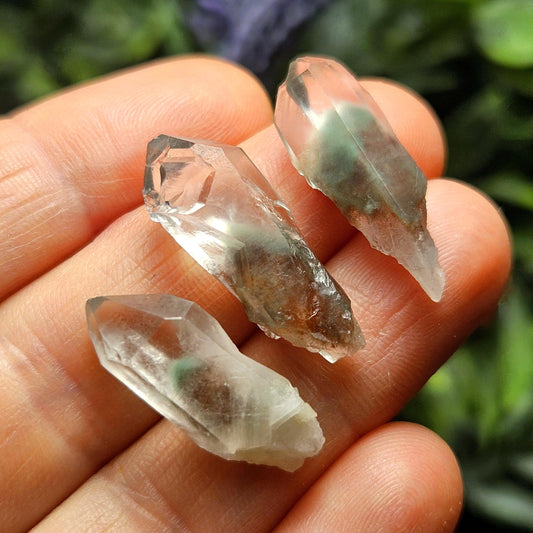 Garden Lemurian Quartz