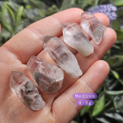 Garden Lemurian Phantom Quartz