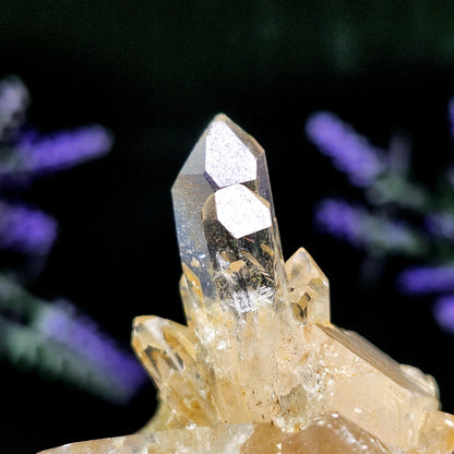 Golden Lemurian Quartz Cluster 122g