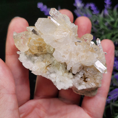 Lemurian Quartz Cluster 99g