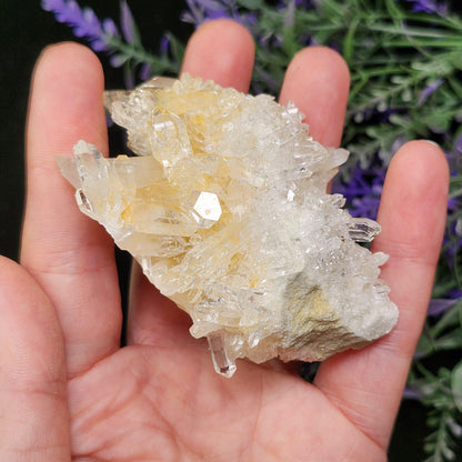 Lemurian Quartz Cluster 99g