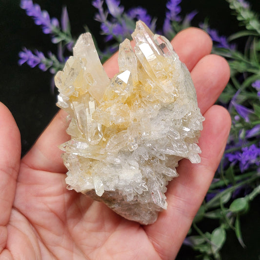 Lemurian Quartz Cluster 99g