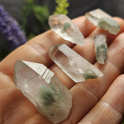 Green Phantom Lemurian Quartz