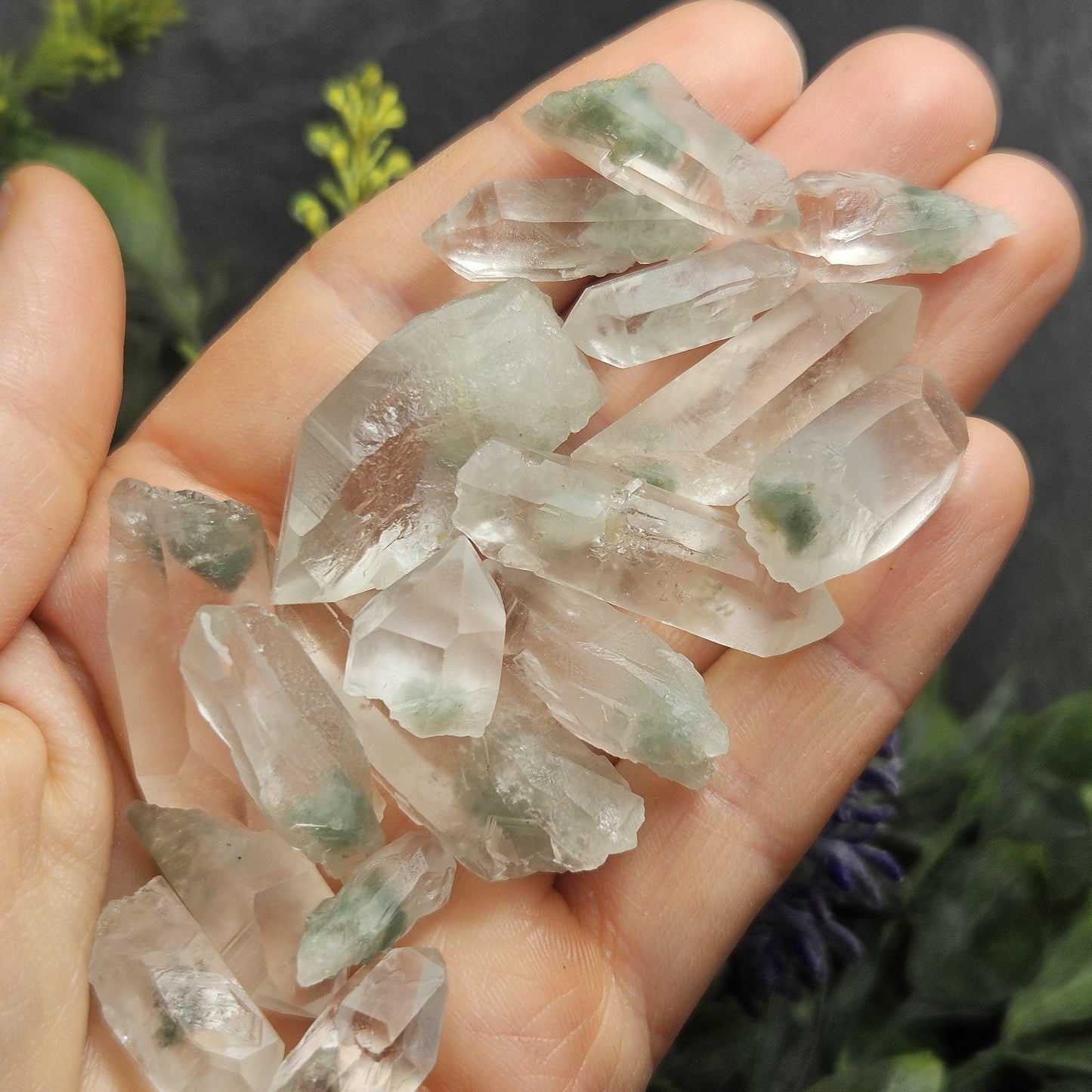 Green Phantom Lemurian Quartz
