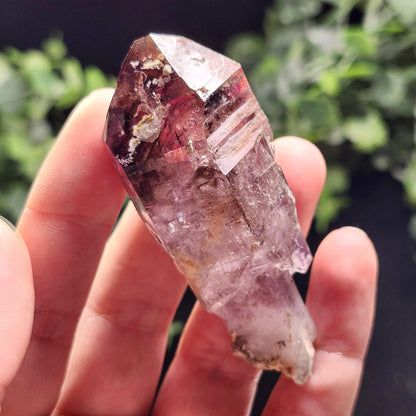 ENHYDRO Shangaan Amethyst 50g (MOVING Enhydro)