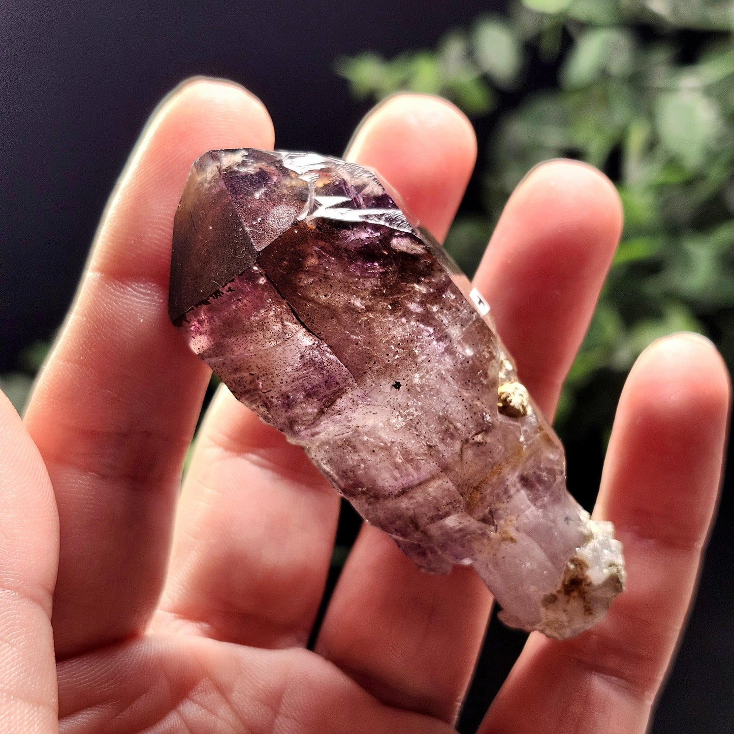 ENHYDRO Shangaan Amethyst 50g (MOVING Enhydro)