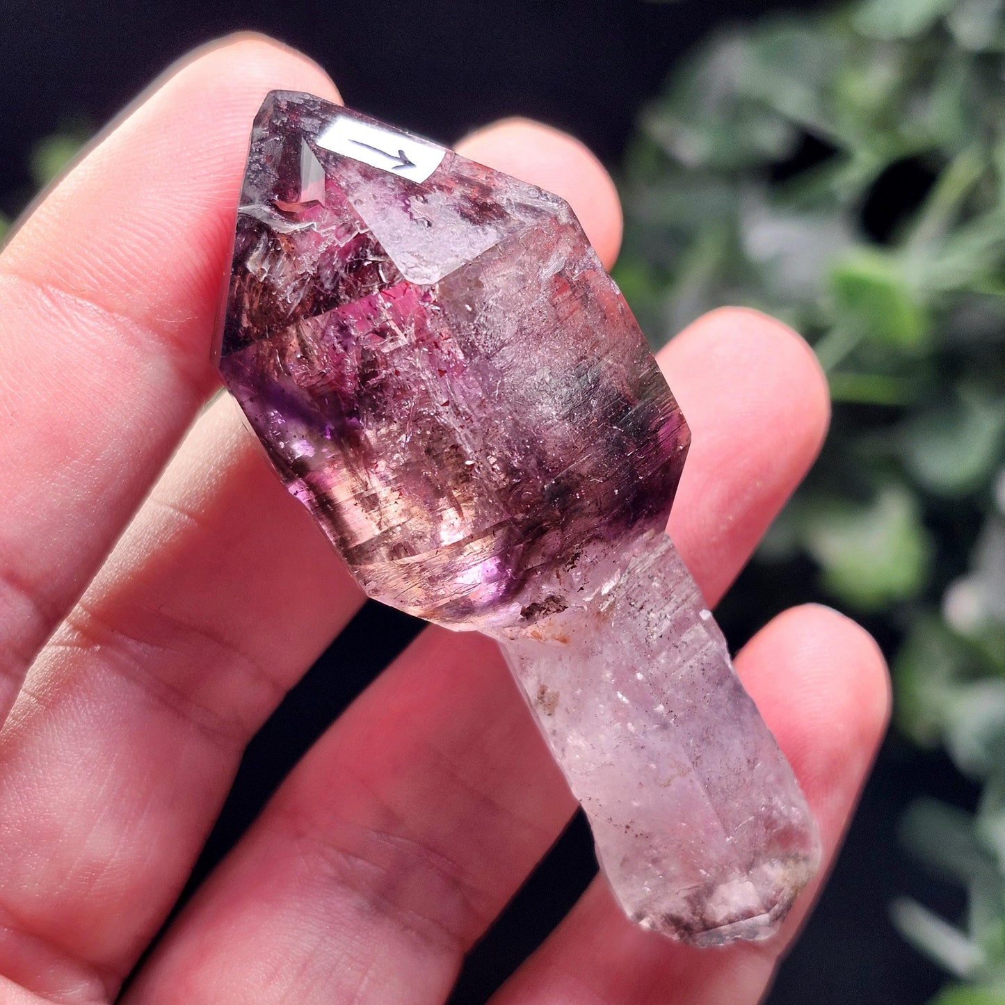 ENHYDRO Shangaan Scepter Amethyst